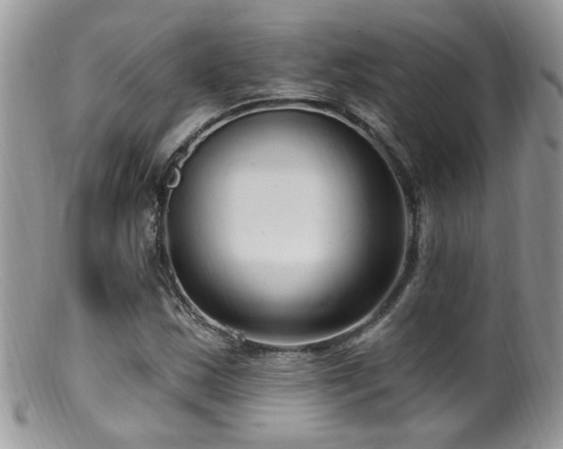 X0000099521163200805151517