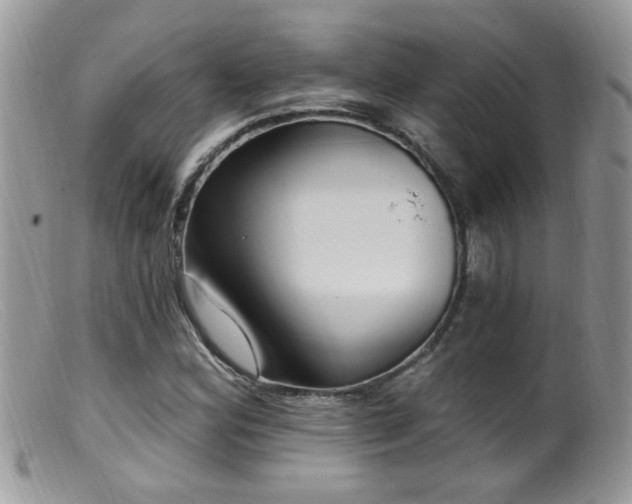X0000099521164200805151517