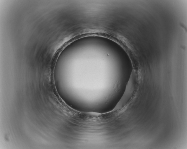 X0000099521165200805151517
