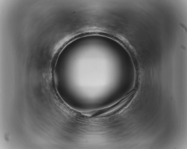 X0000099521167200805151517