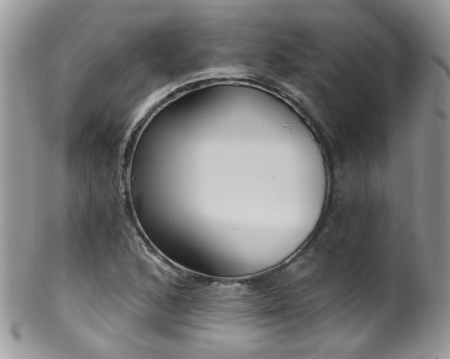 X0000099521168200805151517