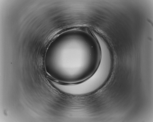 X0000099521169200805151517