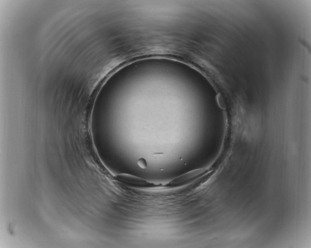 X0000099521170200805151517