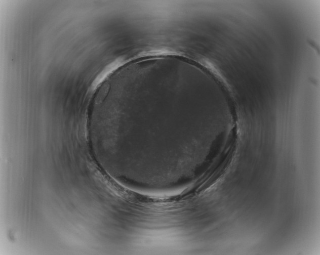X0000099521173200805151517