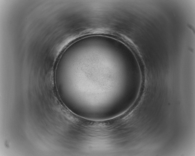 X0000099521174200805151517