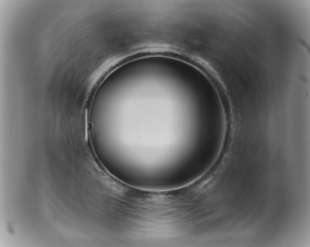 X0000099521175200805151517