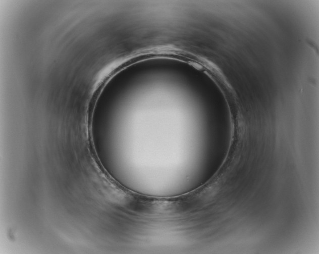 X0000099521176200805151517