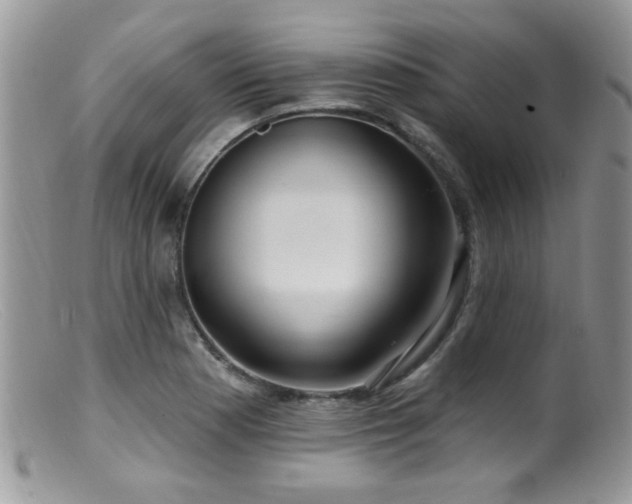 X0000099521177200805151517