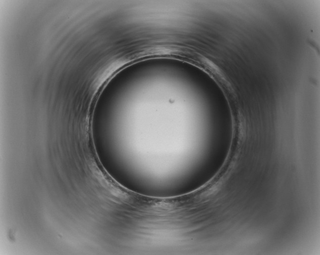 X0000099521178200805151517
