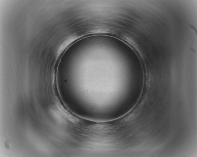 X0000099521179200805151517