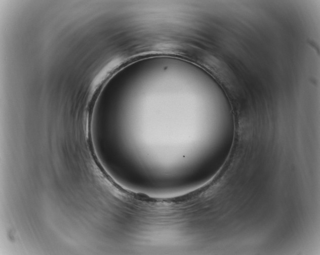 X0000099521180200805151517