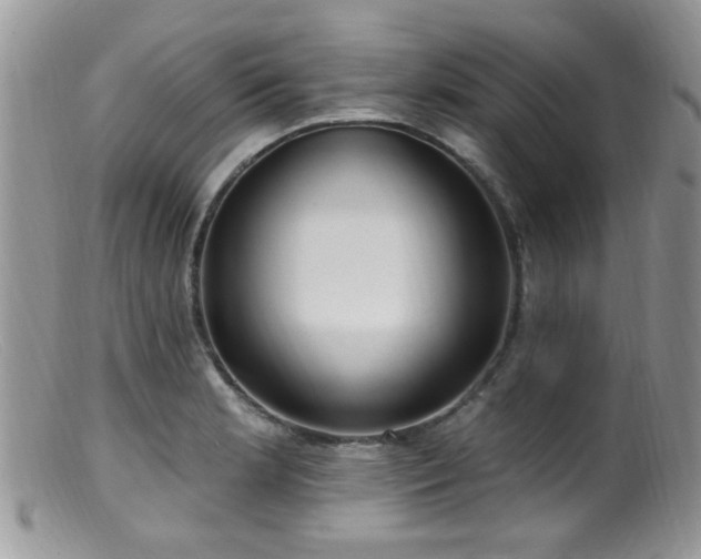 X0000099521181200805151517