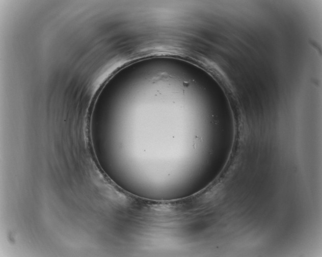 X0000099521182200805151517