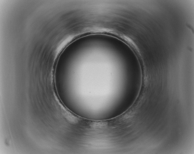 X0000099521183200805151517