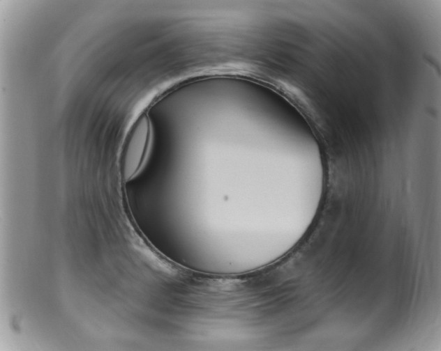 X0000099521184200805151517