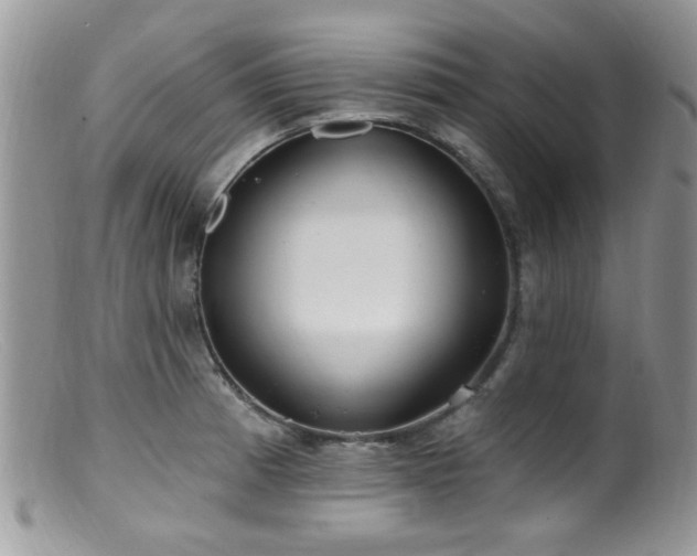 X0000099521185200805151517