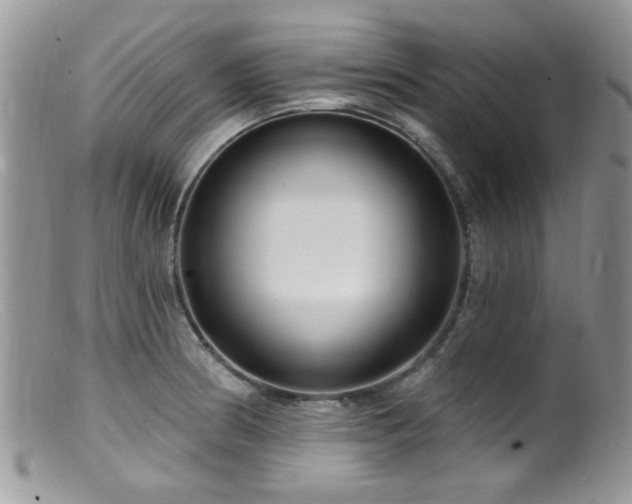 X0000099521186200805151517