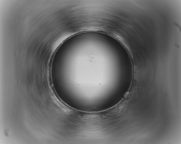 X0000099521187200805151517