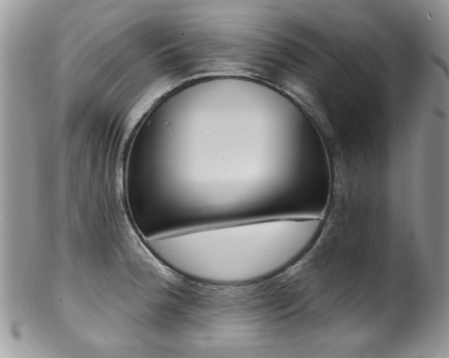 X0000099521188200805151517