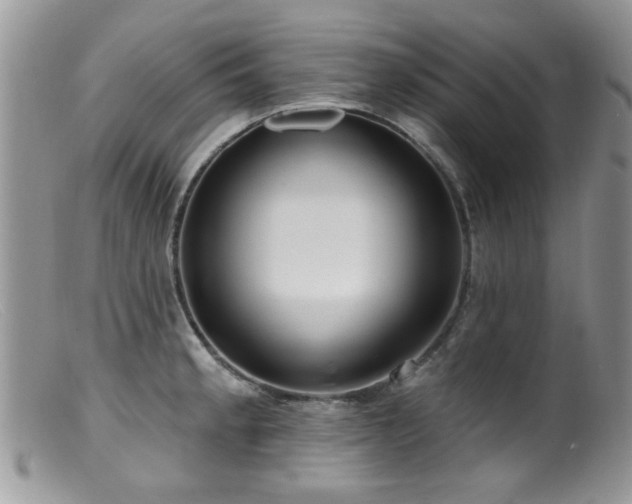 X0000099521189200805151517