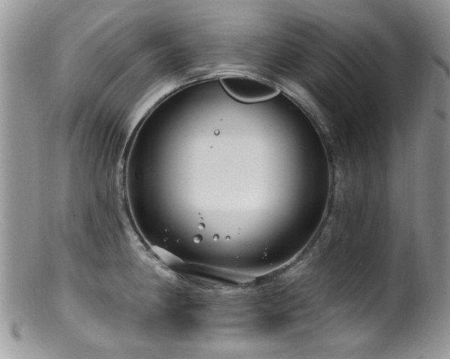 X0000099521190200805151517