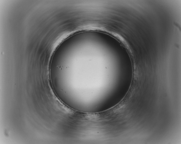 X0000099521191200805151517