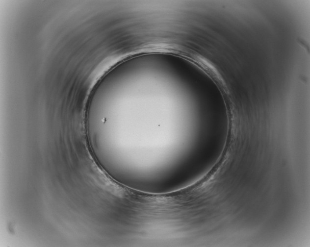 X0000099521192200805151517