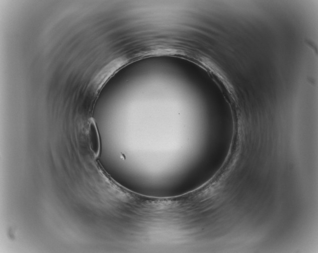 X0000099521193200805151517