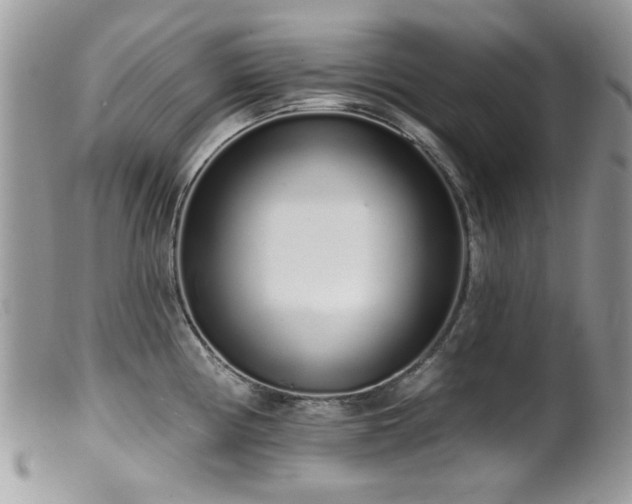 X0000099521194200805151517