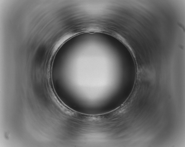 X0000099521195200805151517