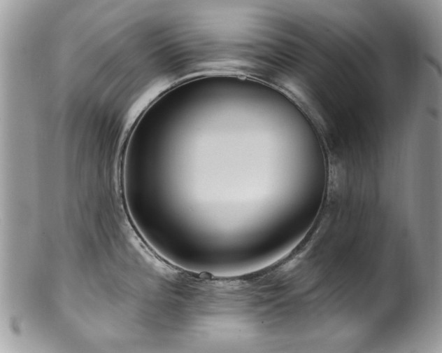 X0000099521196200805151517