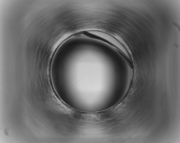 X0000099521197200805151517