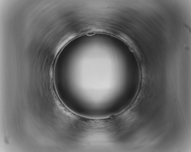 X0000099521198200805151517