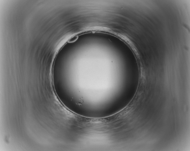 X0000099521199200805151517