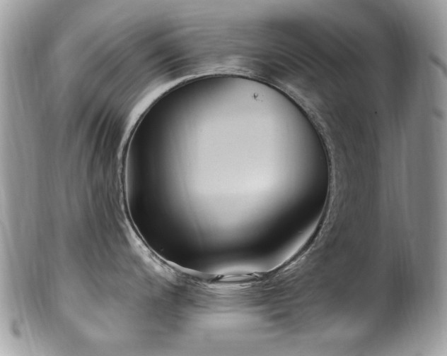 X0000099521200200805151517