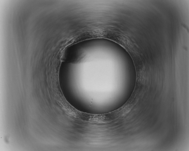 X0000099521201200805151516