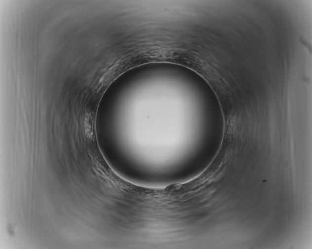 X0000099521202200805151516