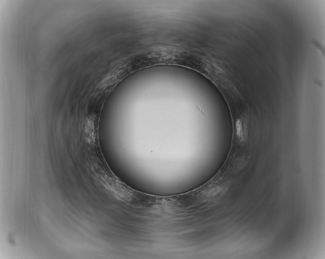 X0000099521203200805151516