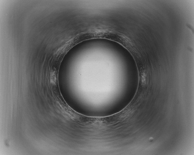 X0000099521204200805151516