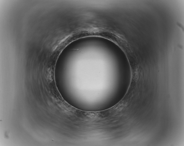 X0000099521205200805151516