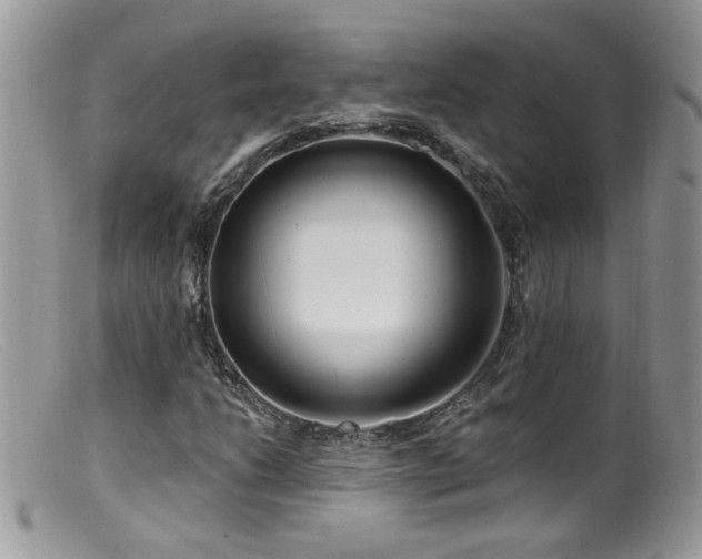 X0000099521206200805151516