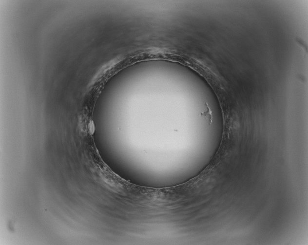 X0000099521207200805151516