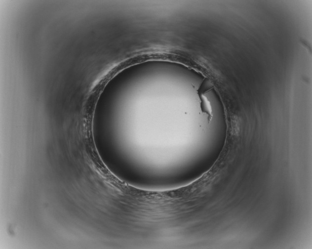 X0000099521208200805151516