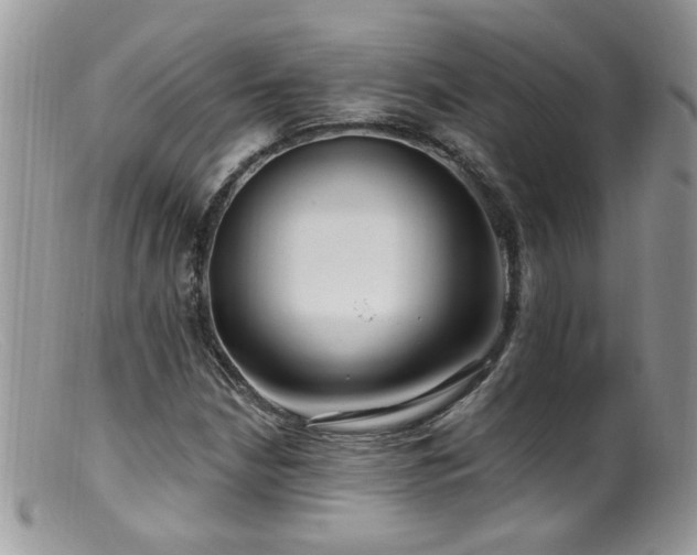 X0000099521210200805151516