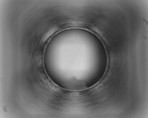 X0000099521211200805151516