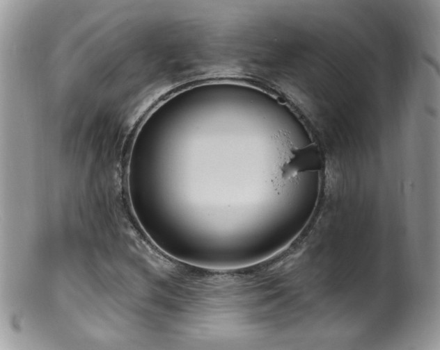 X0000099521212200805151516