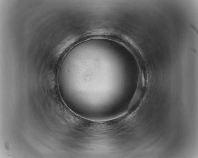 X0000099521213200805151516