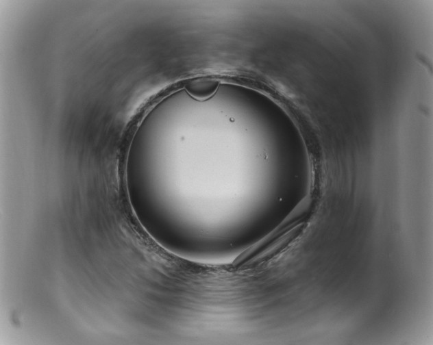 X0000099521214200805151516
