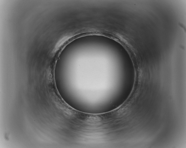 X0000099521215200805151516