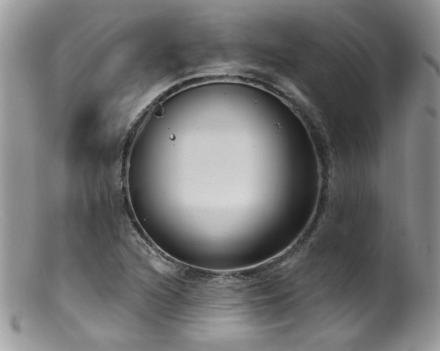 X0000099521216200805151516